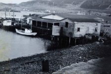 The Big Merasheen Fish Plant, wharf and Cod Liver Oil Factory in 1965.&amp;nbsp; From John Pitcher: "My father Lar Pitcher worked for a time at the factory and he always offered me a little ladle full of warm cod oil when I went to visit.&amp;nbsp; He told me of his voyages North with a crew of Norwegian whalers when he was only in his early teens and worked in the whale factory rendering out whale oil in Battle Harbour in 1930.&amp;nbsp; He continued fishing in Merasheen long after the re-settlement because he loved fishing.&amp;nbsp; He retired from fishing at 68 years of age and died a few days just before his 79th&amp;nbsp;birthday (RIP).&amp;nbsp;&amp;nbsp;Note:&amp;nbsp;The Pomroy’s famous skiff at the wharf and it is well known in Merasheen and was displayed on a set of Merasheen laminated place mats.&amp;nbsp; The skiff is also etched in stone on the Memorial Plaque /Monument at the Cross Roads in Merasheen.